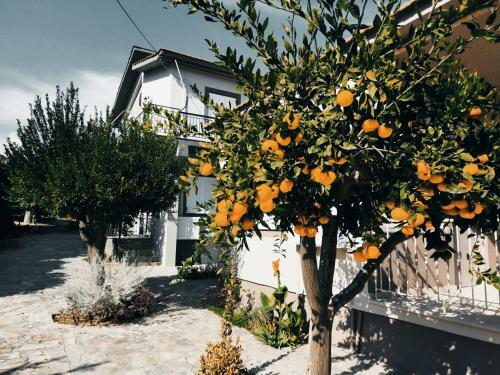 Villa Nymphes