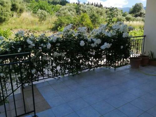 Rosegarden