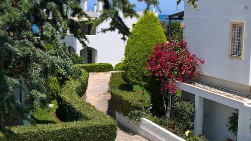 Apartamento Mare Sole
