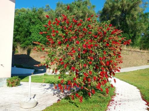 Apartamento Orion Filoxenia