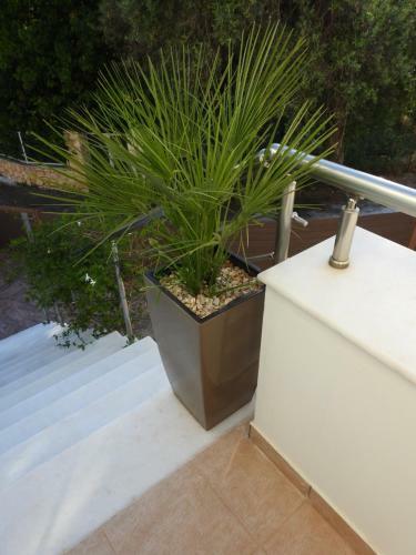 Creta Galini House