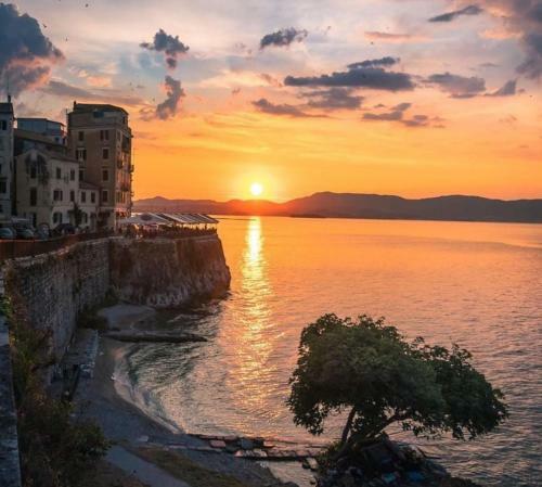 Yia Sou Corfu! Kolibri