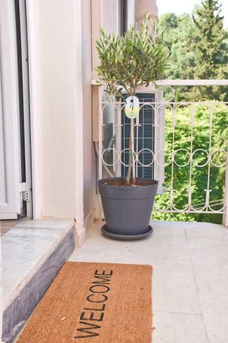 Yia Sou Corfu! Kolibri