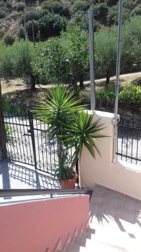 Maisonette Maria-for Tranquility-sikia Chalkidiki