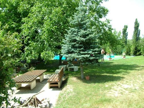 Hostal Zoldhaz Bio Panzio