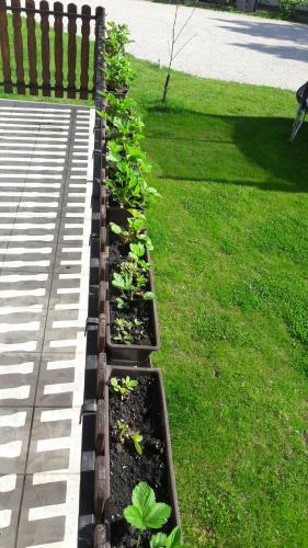 Balaton Apartmanh�z