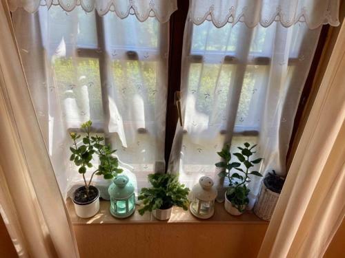Apartamento Fodor H�z