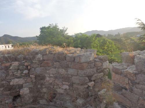 Andronikis House
