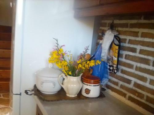 Traditional House