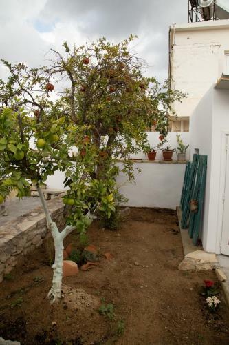 Iliopetra House