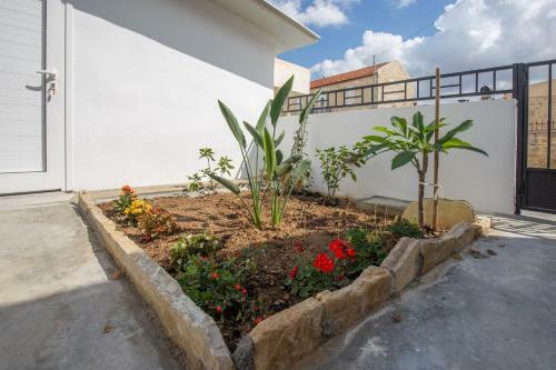 Iliopetra Studio