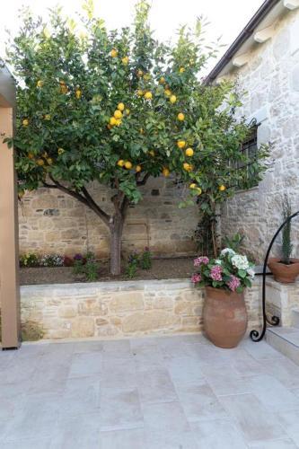Cretan Rhapsody - Rustick Villa In S�va