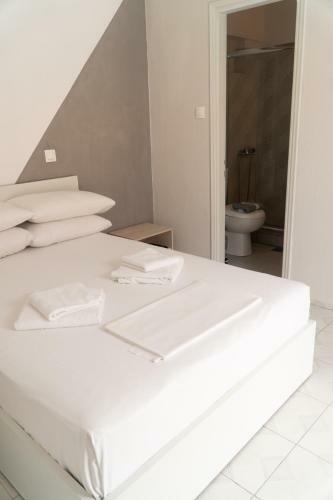 Cocoon Hotel
