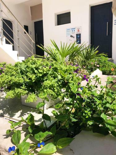 Hostal Villa Lemar