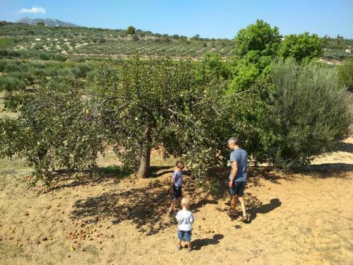 Agroturismo Eden Garden Villa