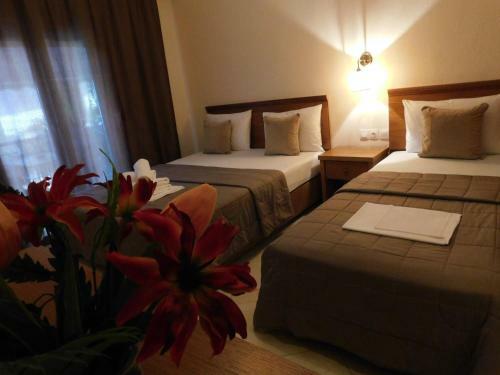 Hostal Anna House 1