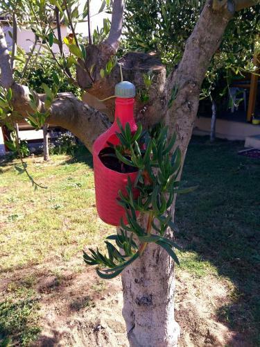 Apartamento Farma Giannis
