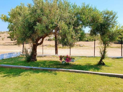 Agroturismo River Rooms Kriaritsi