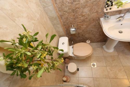 Apartamento Elia