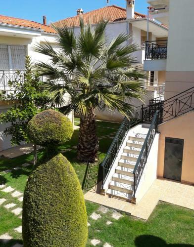 Olive Apartments