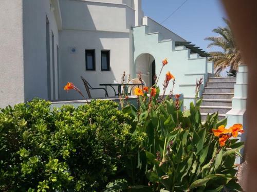Sunrise Beachfront Apartment