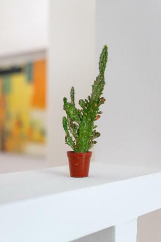 Apartamento Aiolos Suite