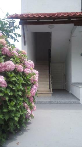 Georgoulas Apartments