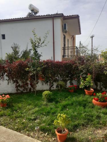 Loukia's House