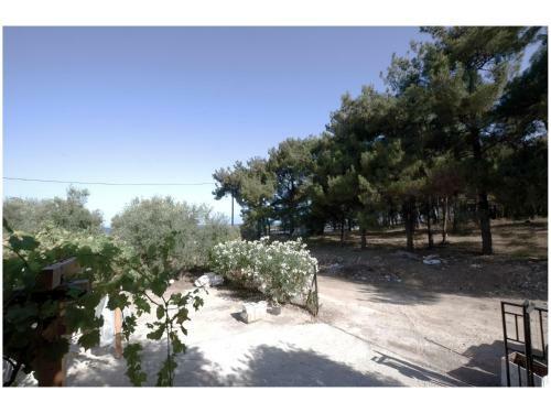 ?? ????? ?? ?? ?????? - Wellcottage Thassos