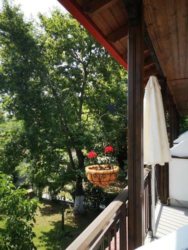 Apartamento Achillion B&B