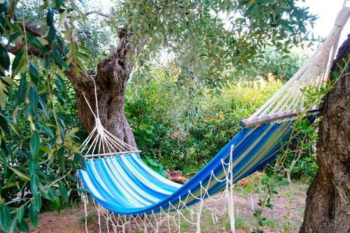 Il Giardino