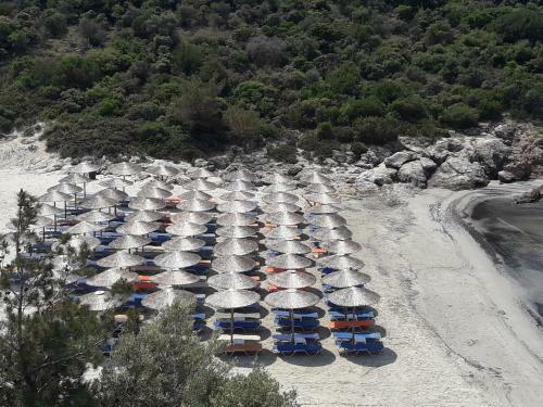 Apartamento Dreamy Home By The Sea