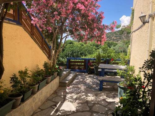Apartamento Ena-lia Studios