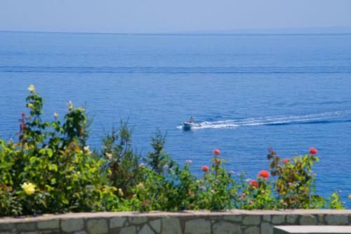 Apartamento Blue Jasmine Hotel