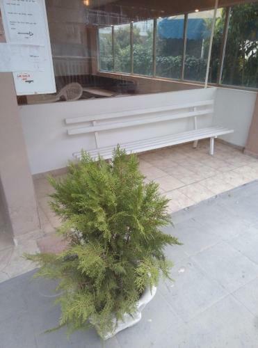 Apartamento Aleksandros Olimp