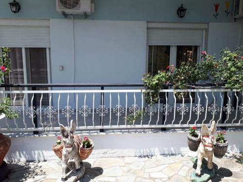 Popi 's Home