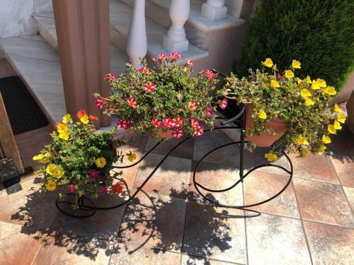Apartamento Villa Mary Fresh