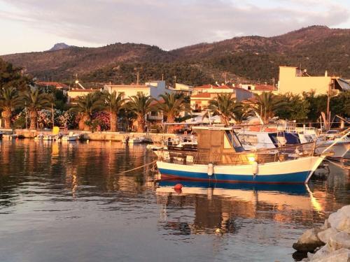 Apartamento Sunsets In Thassos 1