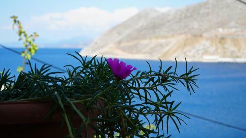 Apartamento Villa Astradeni Symi