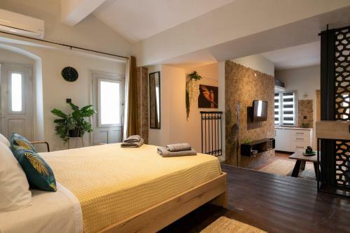 Green Symi Apartment