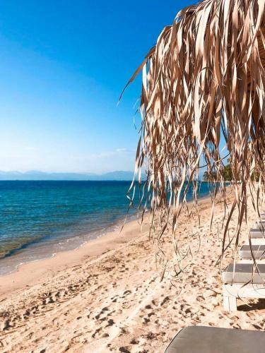 Olive Dream Thassos Luxury Villas