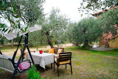 Olive's House