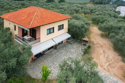 Olive's House