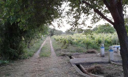Agroturismo Blue Cottage