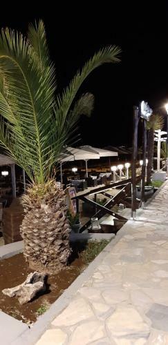 Sea View Apartments Aphrodite
