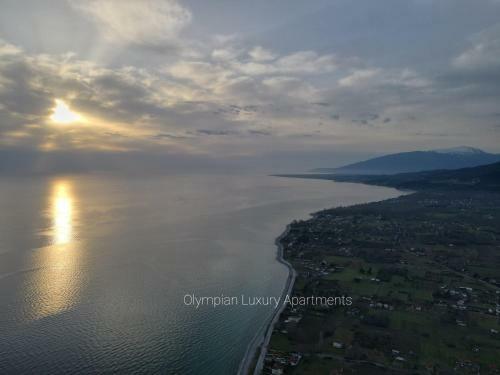 Olympian Luxury Apartments