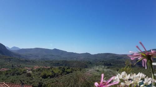 Spacious Retreat (queen Beds) Captivating Mnt View