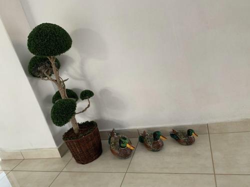 Apartamento Stellina's New Studio 5min From Beach