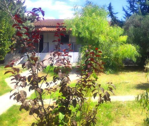 Agroturismo Vergia Studios