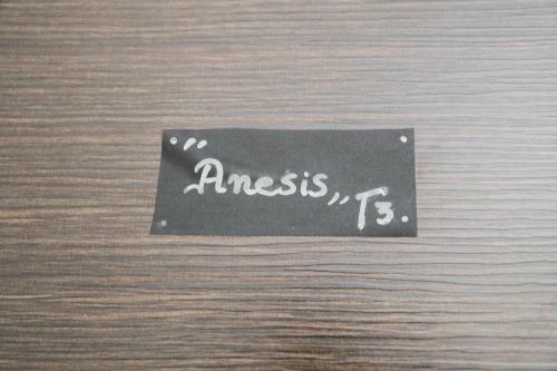 Apartamento Laconian Collection ''anesis''